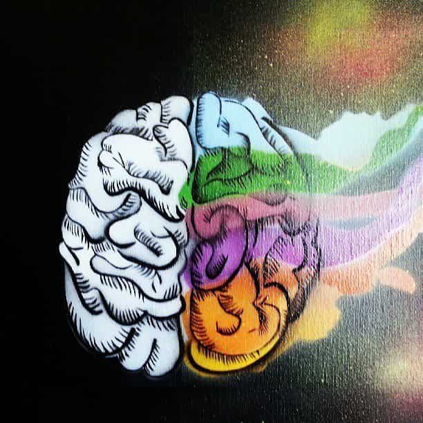 brain with alzheimer's